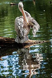 两款经典文字冒险游戏明年3月推出重制版